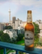 Case of 12 x 660ml Krombacher Pilsner beer bottles – wholesale NZ	